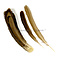 Peacock wing feather (per 10 ) 35-45 cm