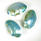 Bivalvia shell (blue)