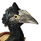 Mounted Greyear hornbill (wall mount)