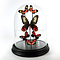 Modern glass dome with a variety of red mounted butterflies