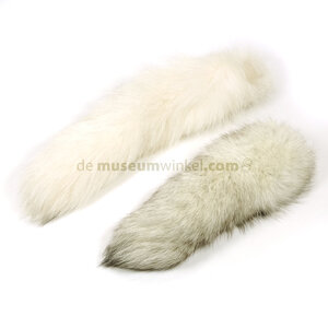 Tail arctic fox