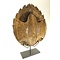 Turtle shell on base (L) - replica