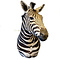 Mounted zebra trophy