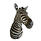 Mounted zebra trophy