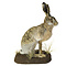 Mounted european hare