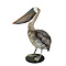 Opgezette pelikaan