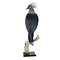 Mounted western crowned pigeon