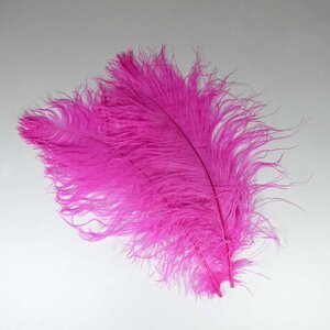 Straußvogel federn (rosa) 40 - 50 cm