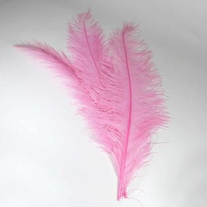 Straußvogel federn rosa 70cm
