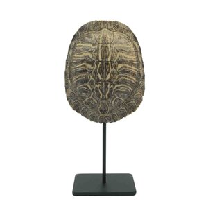 Schildpad schild (14-19 cm) op sokkel