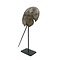 Horseshoe crab on pedestal