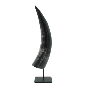 Polished cow horn on pedestal