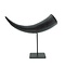 De museumwinkel.com Polished cow horn on pedestal