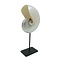 Polished nautilus on metal  pedestal