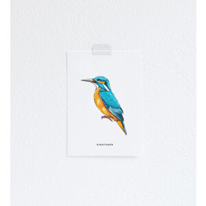 Postcard - Kingfisher