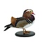 Mounted mandarin duck