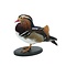 Mounted mandarin duck