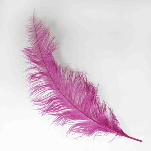 Ostrich feather darkpink 70 cm