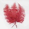 Ostrich feather wine red 70 cm