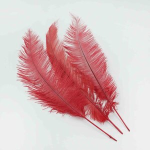 Ostrich feather red 40 cm