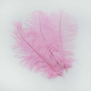 Struisvogel veer licht roze 40 cm