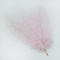 Ostrich feather light pink 60 cm