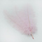 Struisvogel veer licht roze 60 cm