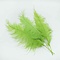 Ostrich feather lime green 60 cm