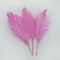 Struisvogel veer roze 30 cm
