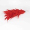 Plume Rooster - red small