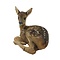 Mounted fawn - Bambi