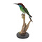 Mounted Blue-throated bee-eater