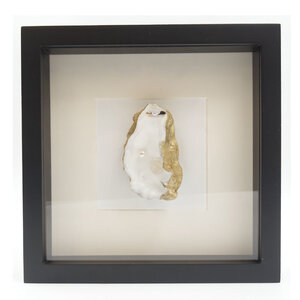 Oyster with pearl in 25 x 25 frame