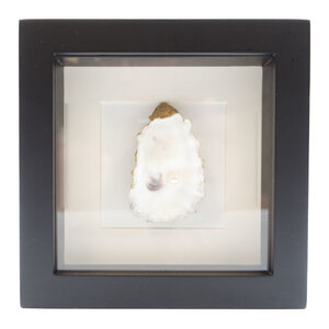 Oyster with pearl in 16 x 16 frame