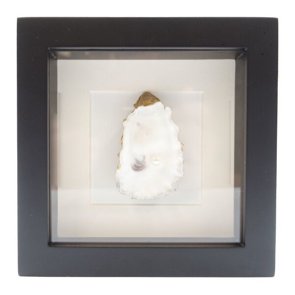 De museumwinkel.com Oyster with pearl in 16 x 16 frame