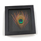Peacock feather in elegant black frame (16 x 16 cm)