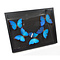 Insectenbox met Morpho Didius (5)