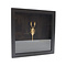 Gouden schorpioen in elegant zwart houten lijst - Heterometrus Spinifer