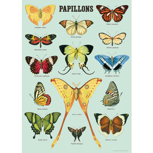 School poster - butterflies (B)
