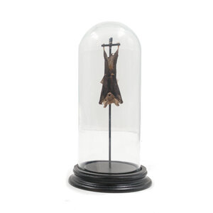 Glass dome with mounted fruit bat large