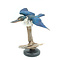 Mounted flying Collared Kingfisher