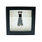 Bat in exclusive frame 16x16 cm