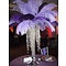 Ostrich feather purple 40-50 cm