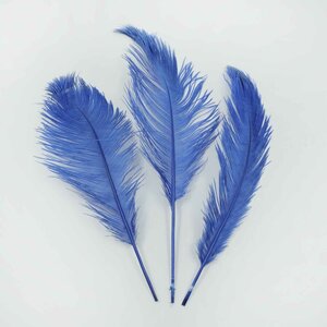 Ostrich feather blue 40-50 cm