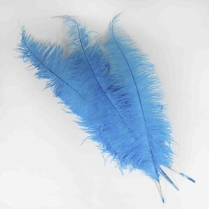 Ostrich feather light blue 70 cm