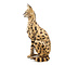 Präparierter Serval