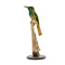 Mounted blue-bearded bee-eater (B)