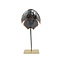 Horseshoe crab on golden pedestal