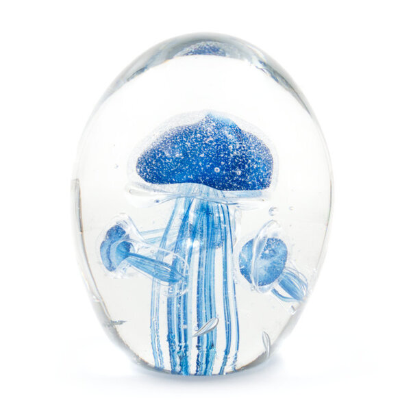 Glass family jellyfish (dark blue)