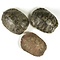 Schildpad schild 20-25 cm